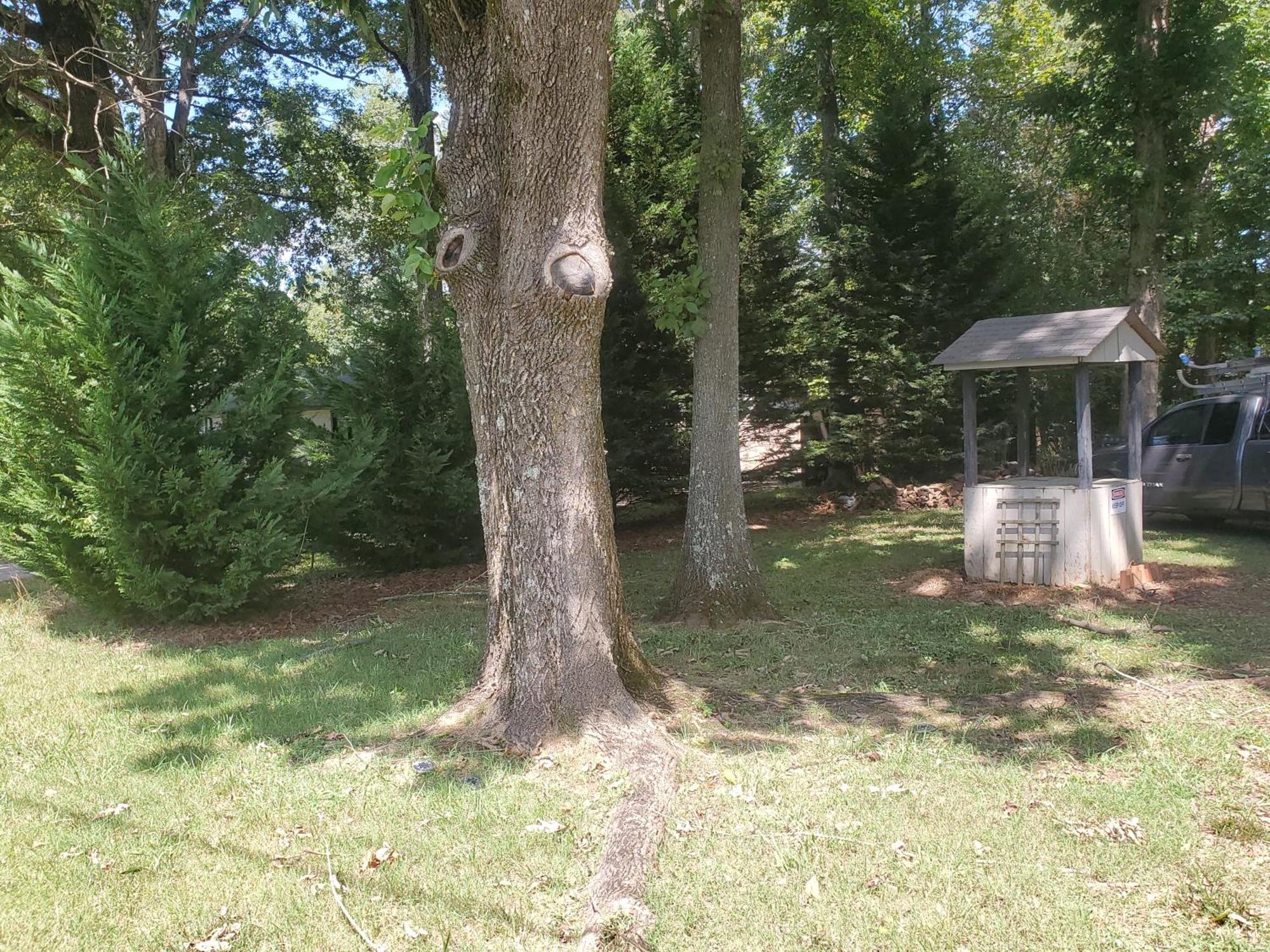 Private Single Level Standalone House Large Lot - 3 Bedrooms Charlotte Buitenkant foto